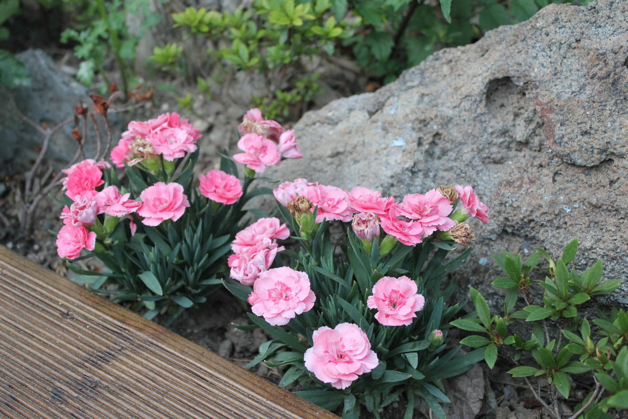 With U Hotel & Guesthouse Sokcho Dış mekan fotoğraf
